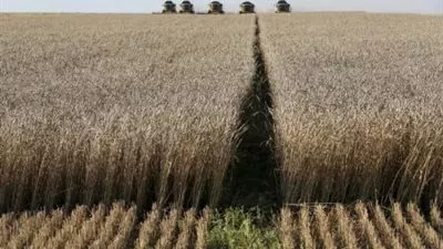 تجار: توتر العلاقات بين روسيا وتركيا يكبح صفقات القمح الجديدة