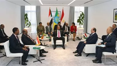 قمة مصرية سودانية إثيوبية.. والسيسي يطالب بالتعاون في ملء سد النهضة