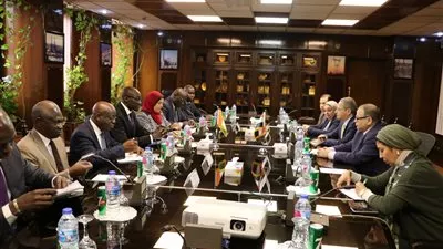 مباحثات مصرية - إيفوارية في مجال الكهرباء والطاقة المتجددة