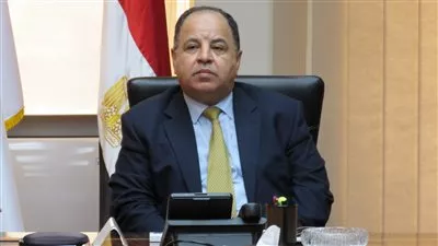 «الوقائع» تنشر قرار «المالية» بإصدار لائحة قانون الإجراءات الضريبية الموحد