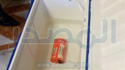 مصادر:‭ ‬الصندوقان الأسودان للطائرة المصرية المنكوبة أصيبا 