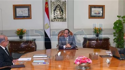 تفاصيل مشروع 