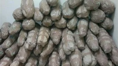 جمارك بورسعيد تحبط محاولة تهريب أكثر من 2 طن بانجو