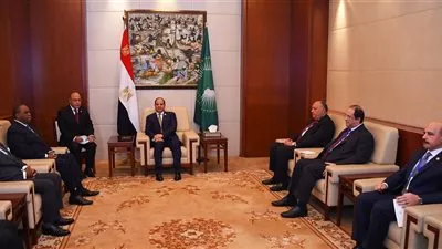 السيسي يبحث مع رئيس «الأفريقي للتصدير» خطة توسع أنشطة البنك بمصر