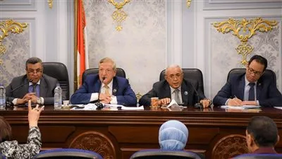 «التخطيط»: 65 مليار جنيه لتنفيذ 25 مبادرة جديدة خلال 2021-2022