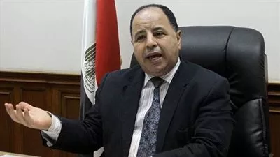 «الوقائع» تنشر قرار «المالية» بتعديل تشكيل لجان الطعن