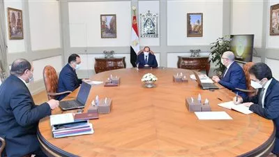 السيسي يوجه بتوفير تمويل إضافي 10 مليار جنيه لمشروعات الثروة الحيوانية