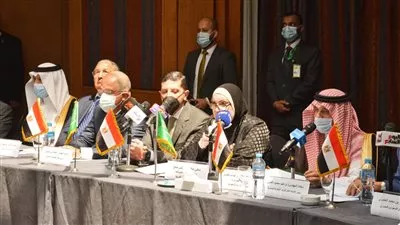 6 مليارات دولار في 500 مشروع.. جامع: السعودية ثاني أكبر مستثمر في مصر