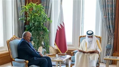 السيسي يدعو أمير قطر لزيارة مصر
