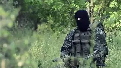 ألمانيا تدعم خطط الانضمام للحملة العسكرية على 