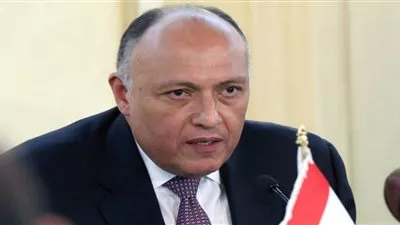وزير الخارجية: مصر سابع دولة مساهمة في 