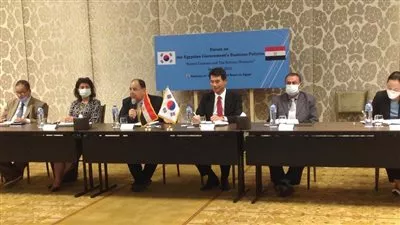 وزير المالية: مستمرون فى الإصلاحات الهيكلية لجذب الاستثمارات الأجنبية