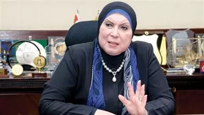 وزيرة التجارة تستعرض محاور وآليات البرنامج الجديد لرد أعباء الصادرات