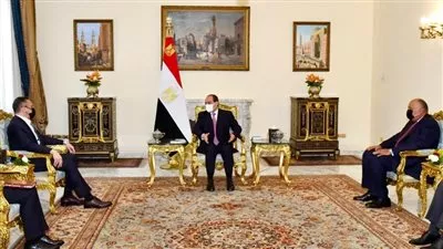 السيسي يبحث القضايا الإقليمية والدولية مع وزير خارجية ماليزيا