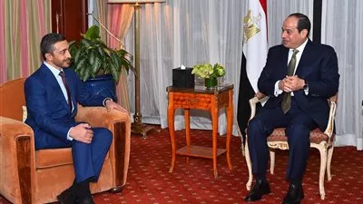 السيسي يبحث مع عبد الله بن زايد سبل التكاتف العربي لمواجهة الإرهاب
