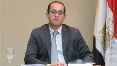 17,6 مليار دولار استثمارات الأجانب في أدوات الدين منذ تحرير سعر الصرف
