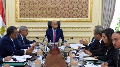مدينتي الروبيكي والأثاث ودمج القطاعين العام والخاص.. توصيات اجتماع 