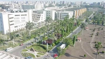 جامعة المنصورة تشارك في ورشة عمل مشاريع الأبحاث التطبيقية بجنيف