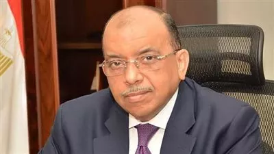 وزارة التنمية المحلية: فحص 118 ألف طلب تقنين لأراضي الدولة