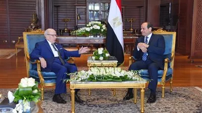  الرئيس السيسى يستقبل نظيره التونسي على هامش أعمال القمة العربية - الأوروبية 