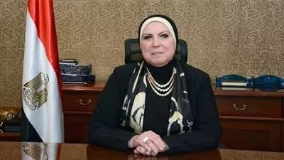 32.3 مليار جنيه إجمالي قروض المشروعات الصغيرة في 7 سنوات