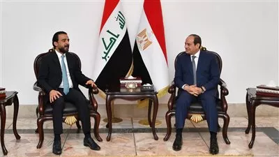 السيسي يؤكد دعم مصر لوحدة العراق واستقراره