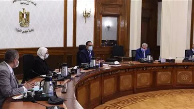 رئيس الوزراء يتابع جهود توفير لقاحات «كورونا» وتصنيعها محليًا