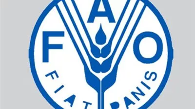 فاو: أسعار الغذاء العالمية انخفضت 1.6% في نوفمبر