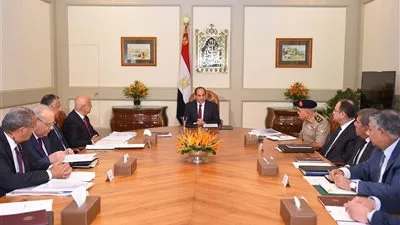 السيسي يجتمع مع الحكومة لبحث ملفات الأمن الغذائي واستغلال املاك الدولة