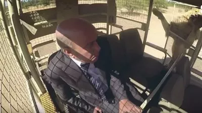 شاهد: الأسد يقتحم سيارة سليمان عيد في أخطر حلقات 