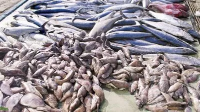 ضبط مدير مجمع مواد غذائية بحوزته كمية من الأرز مجهول المصدر بالقاهرة