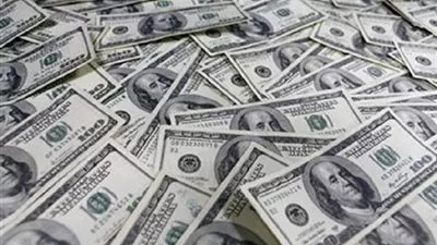 هبوط احتياطي النقد الأجنبى في نيجيريا إلى 30 مليار دولار أمريكي