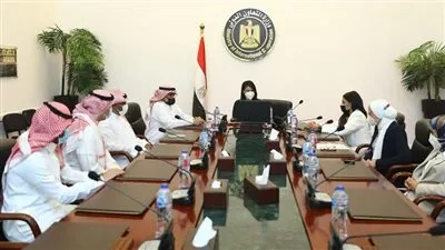 270 مليون جنيه تمويلاj من «إدارة منحة السعودية» للمشروعات الصغيرة