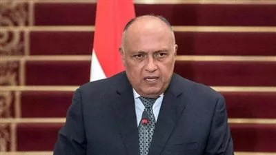 شكري يتوجه إلى أمريكا للتحضير لجلسة مجلس الأمن بشأن سد النهضة