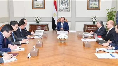 السيسي يستعرض جهود مصر لدعم الطاقة النظيفة بأفريقيا