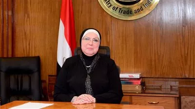 جامع: قطاع الصناعة المساهم الأكبر في نمو الاقتصاد المصري بنسبة 17,1%