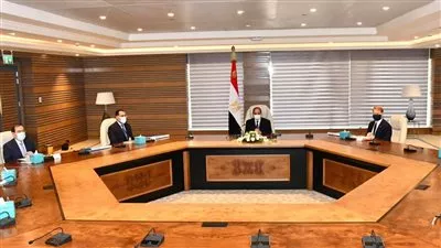 السيسي يوجه بمواصلة التعاون مع «بيكتل» الأمريكية في مجالي الطاقة والنقل