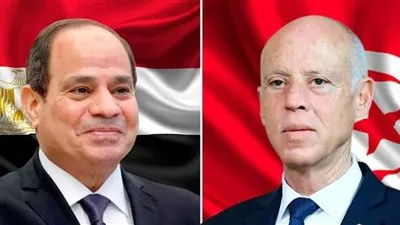 السيسي يبحث مع نظيره التونسي مستجدات قضية سد النهضة