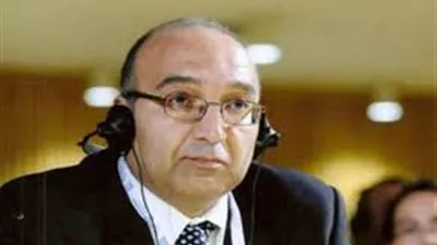 مندوب مصر بالأمم المتحدة: لا نعتد بأي قرارات حول الشذوذ الجنسي   