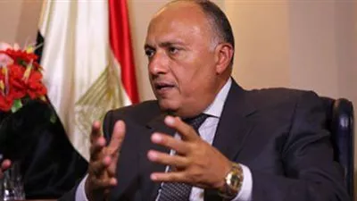 مصر تدين اغتيال محافظ 