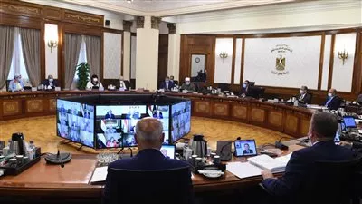 تطبيق منظومة إدارة المعلومات المالية الحكومية على الهيئات الاقتصادية