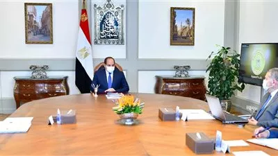 السيسي يوجه بمواصلة جهود تطوير شركات قطاع الأعمال العام