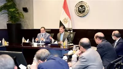 رئيس هيئة الاستثمار: حريصون على زيادة إنتاجية الشركات العاملة بالمناطق الحرة
