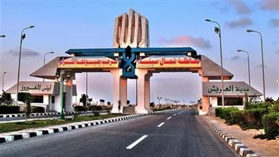 تقرير: صناعة زيت الزيتون في سيناء تواجه تحديات بسبب الأوضاع الأمنية