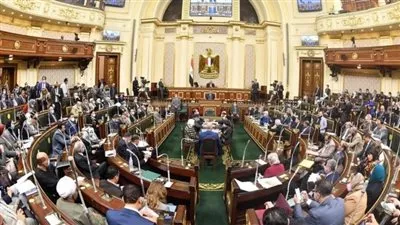 «النواب» يوافق على مشروع قانون حماية وتنمية البحيرات والثروة السمكية