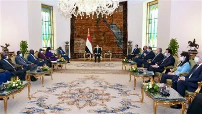 السيسي يبحث سبل تعزيز التعاون الثنائي بين مصر وجنوب السودان