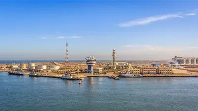 ميناء دمياط يستقبل 9 سفن حاويات وبضائع عامة