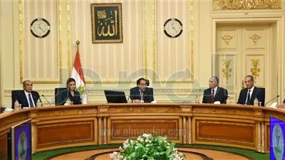 رئيس الوزراء يتابع خطط المشروعات التنموية مع الدول الأفريقية