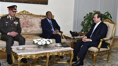 السيسي يبحث تعزيز التعاون العسكري مع تنزانيا