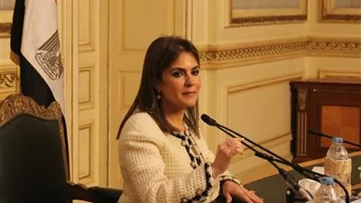 وزيرة الاستثمار تبحث مع 
